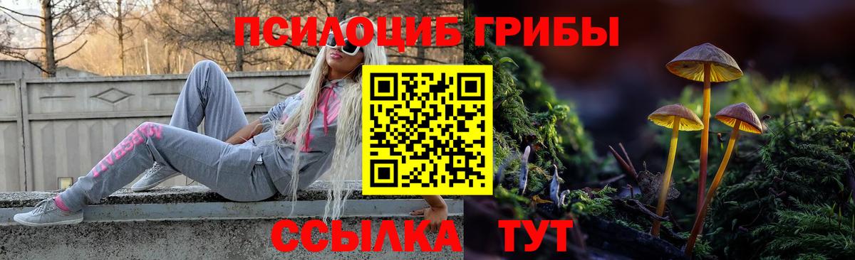 Псилоцибиновые грибы ЛСД Петропавловск-Камчатский
