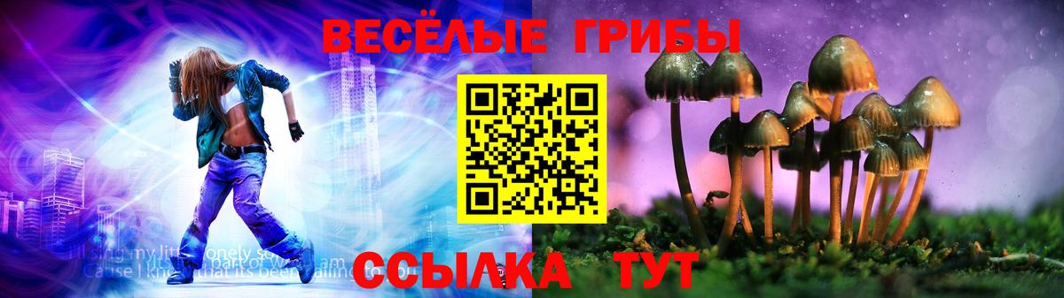 магазин продажи наркотиков  Псилоцибиновые грибы Cubensis  Вход с VPN  Петропавловск-Камчатский  Галлюциногенные грибы мицелий 